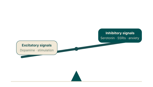 Balance scale showing excitatory versus inhibitory signals in delayed ejaculation